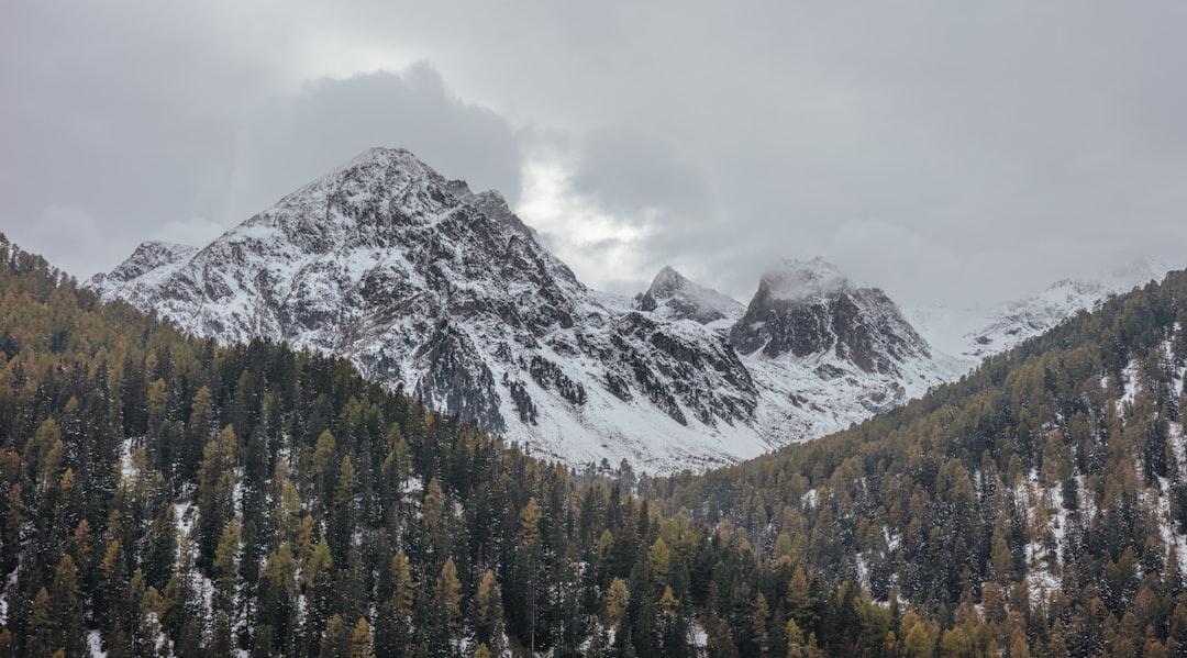 Landscape photography of green leafed trees and mountain coated with white snow from Samuel Ferrara on Unsplash