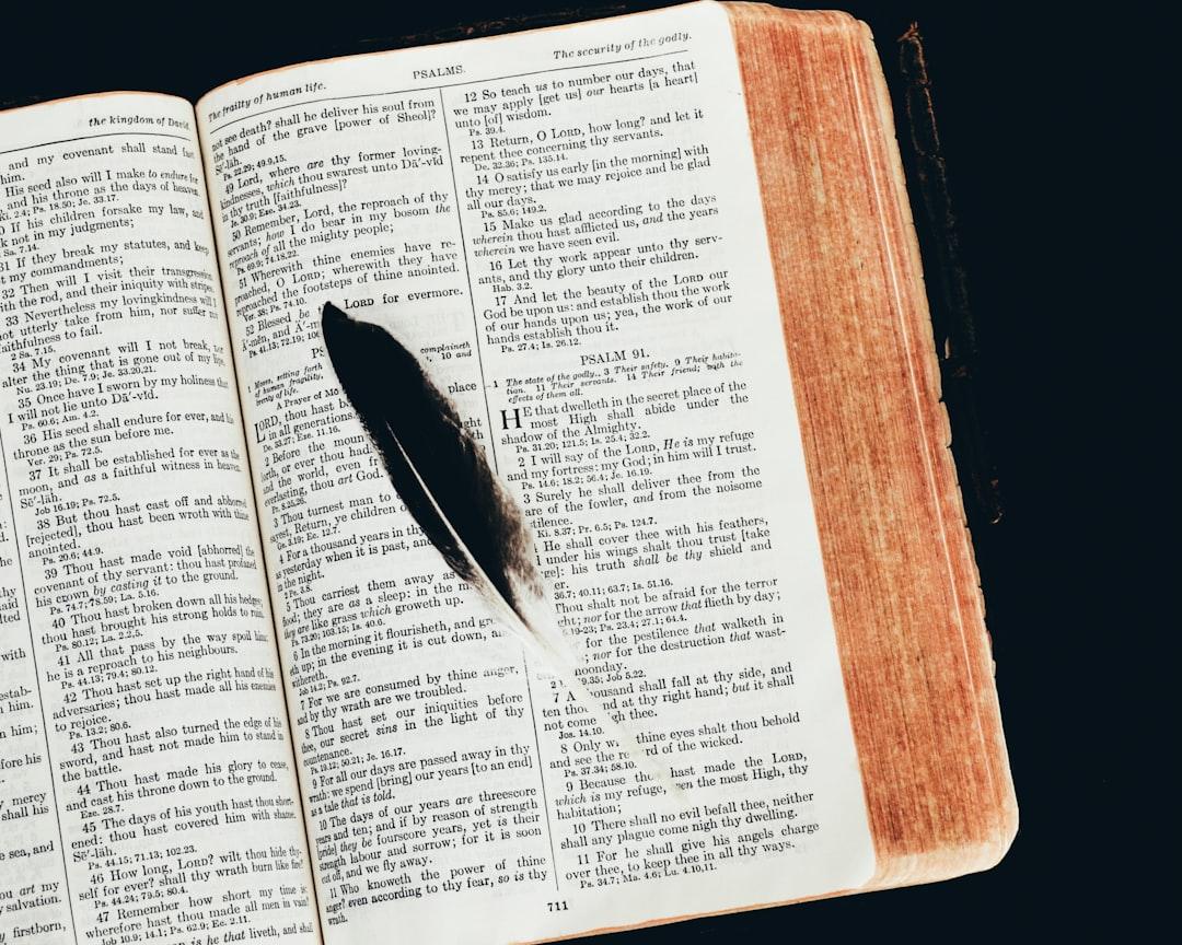Black feather on open book from Debby Hudson on Unsplash