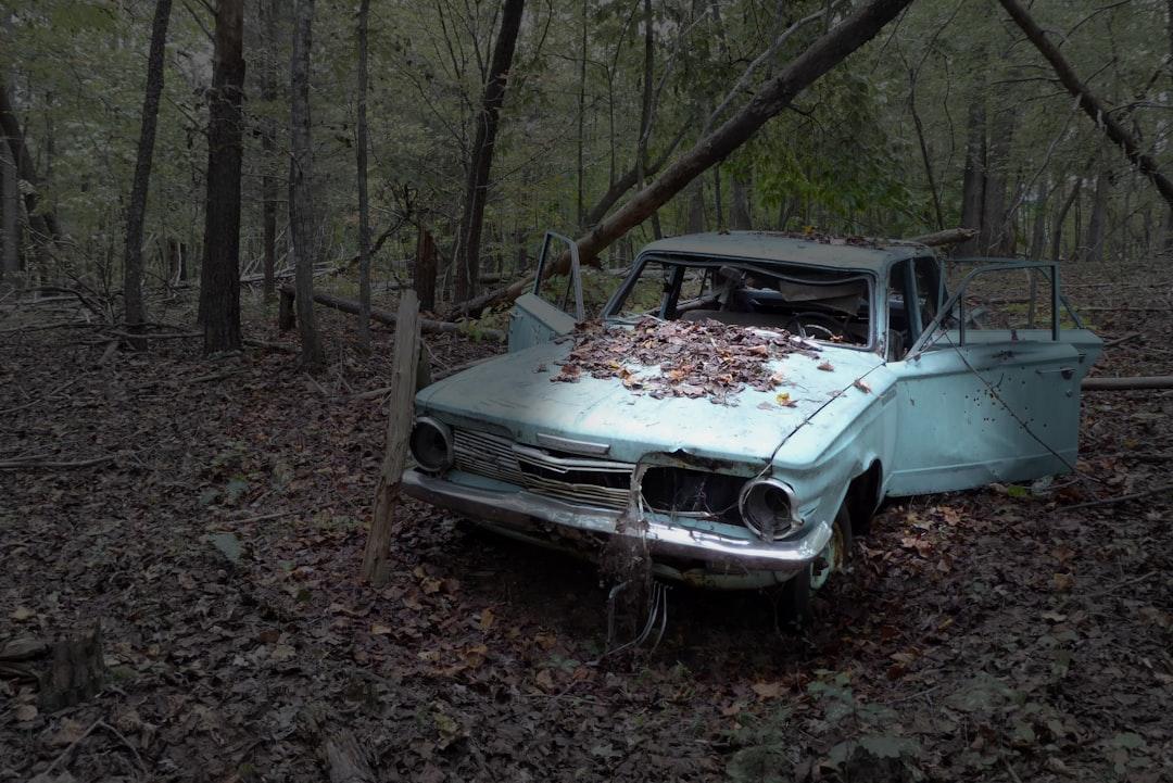 Blue sedan in forest from Patti Black on Unsplash