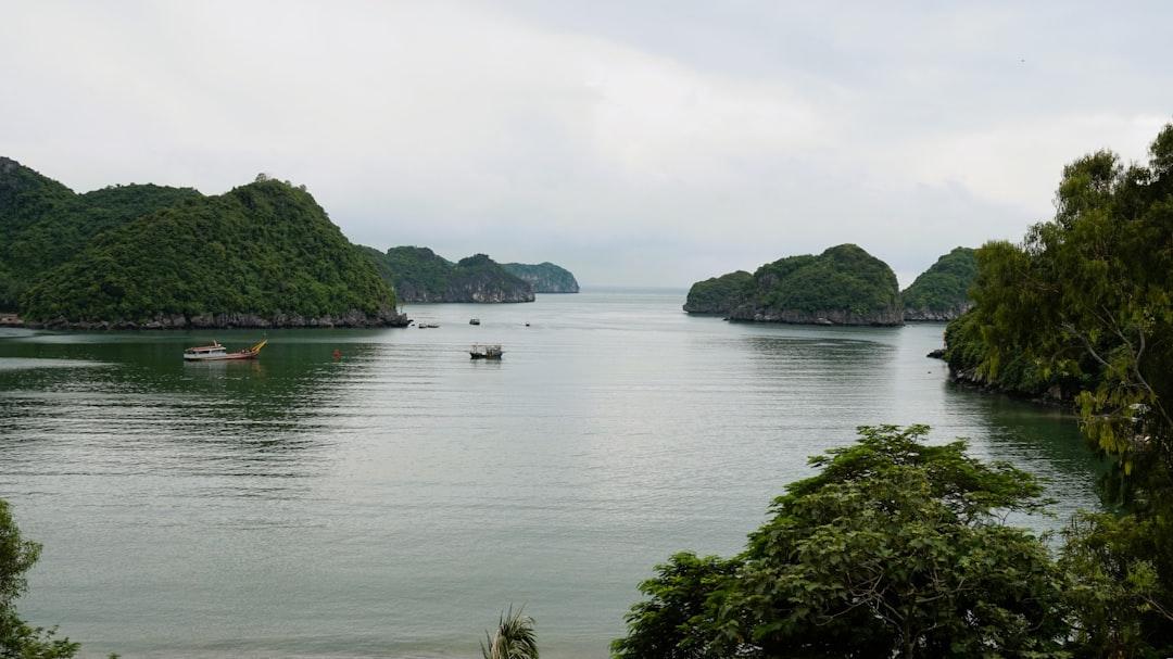 Bác bỏ tin đồn 'ăn dưa bở chết người' 