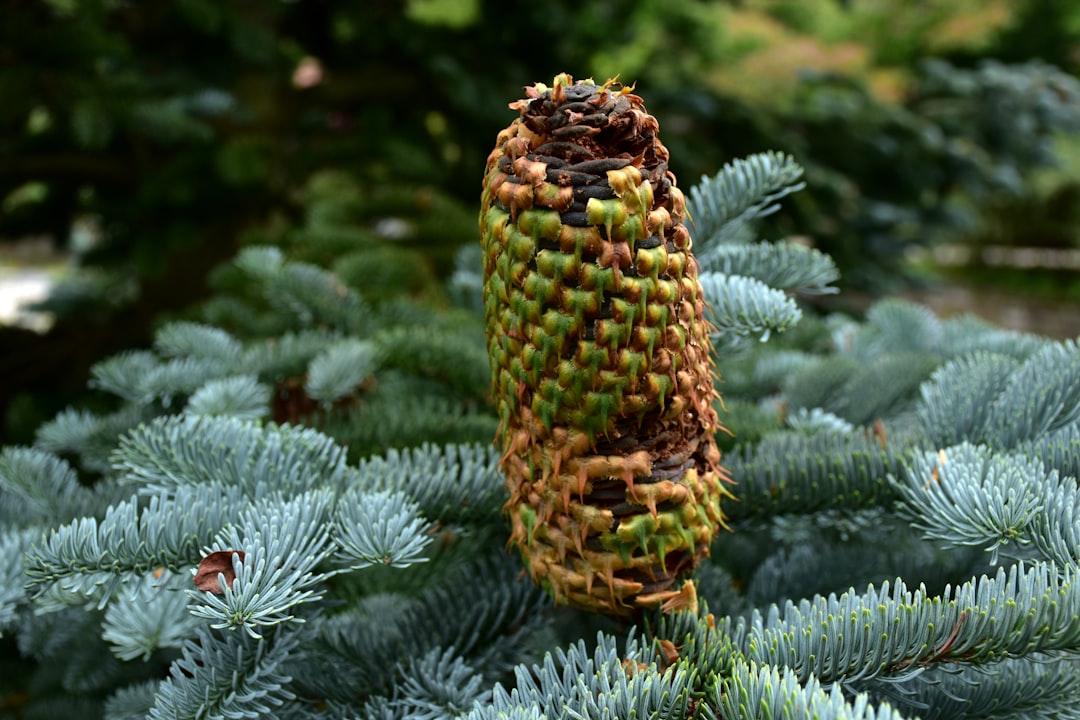 Khi bạn muốn có con...