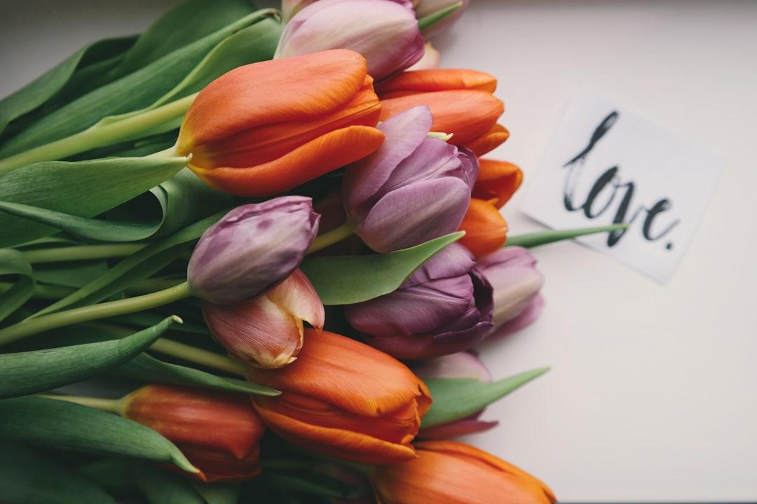 Purple and orange tulips on white surface from Brigitte Tohm on Unsplash