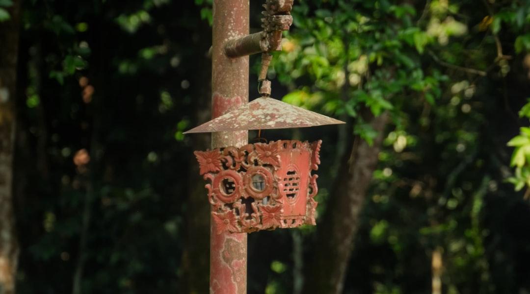 A bird feeder hanging from a tree in a forest from Aoi on Unsplash