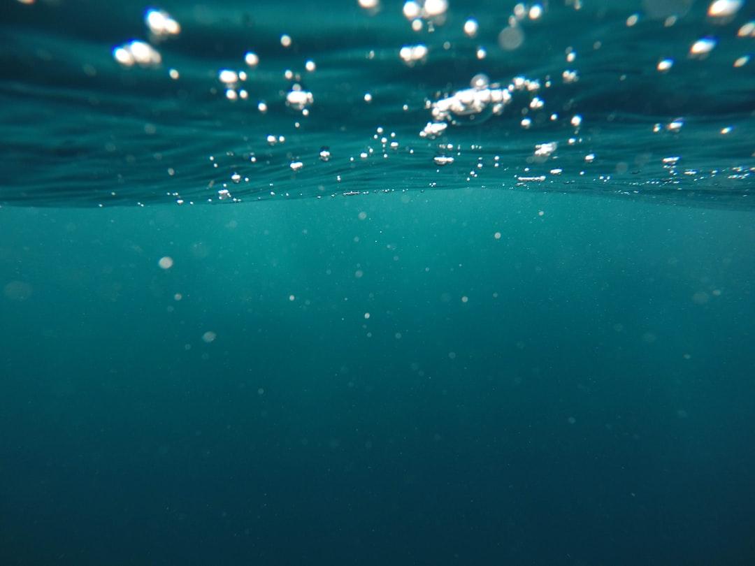 Photo of underwater from Jeremy Bishop on Unsplash