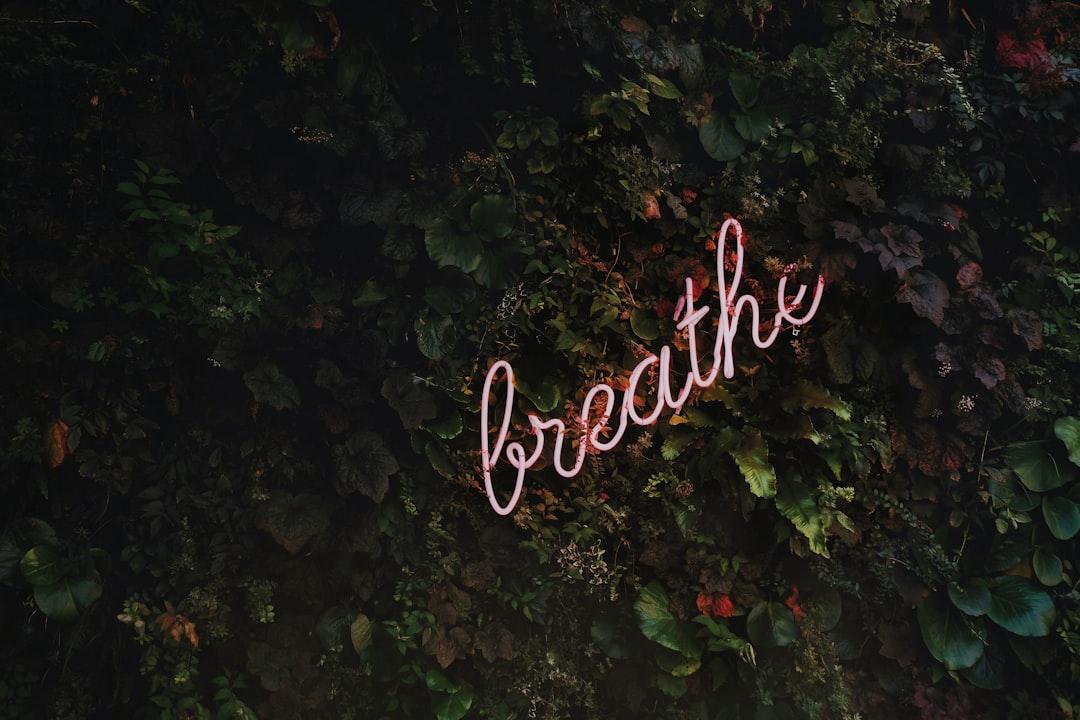 Breathe neon signage from Tim Goedhart on Unsplash