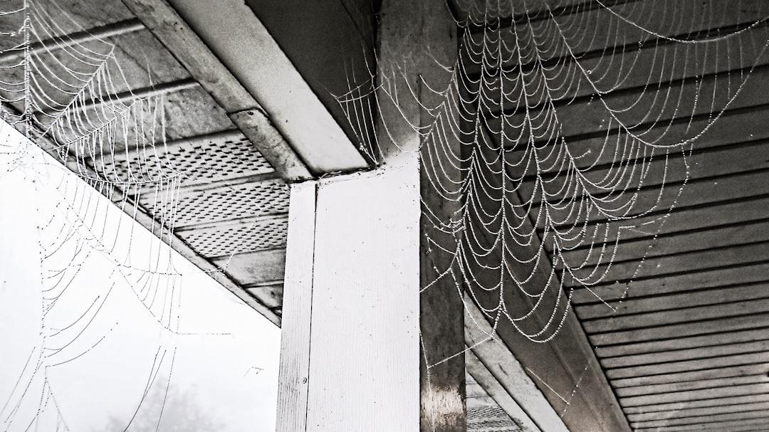 Grayscale photo of web from K. Mitch Hodge on Unsplash