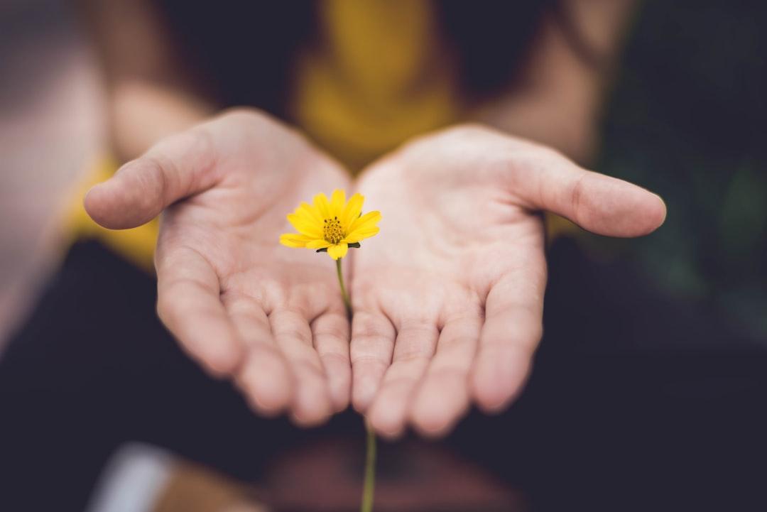 Selective focus photography of woman holding yellow petaled flowers from Lina Trochez on Unsplash
