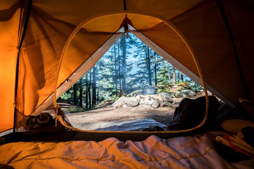 Orange camping tent near green trees from Scott Goodwill on Unsplash