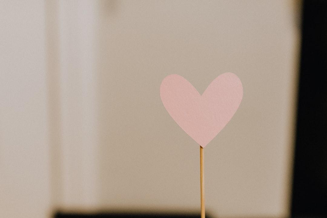 Pink heart with brown stick from Kelly Sikkema on Unsplash