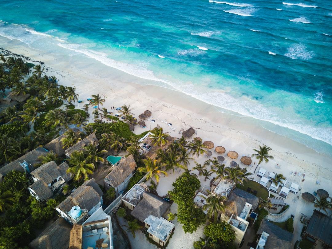 Aerial photography of houses near the sea from Spencer  Watson on Unsplash