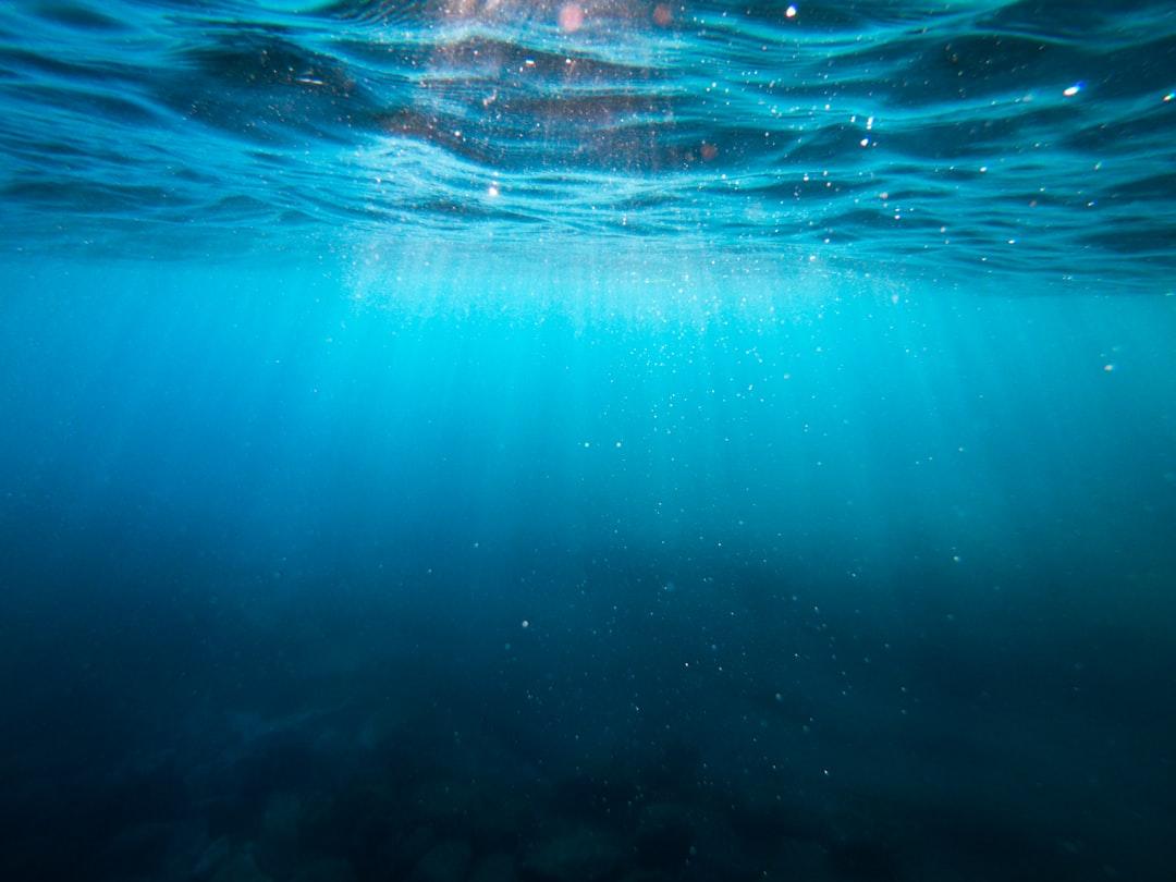 Clear blue body of water from Cristian Palmer on Unsplash