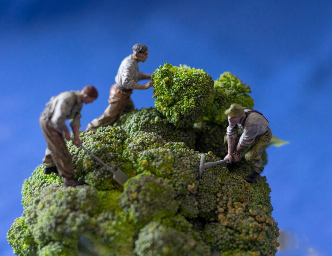 Bông cải xanh làm dịu viêm đường hô hấp