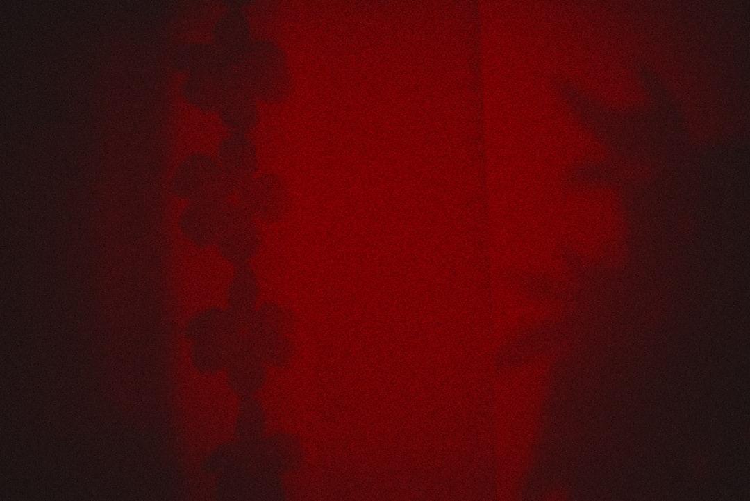 Gạo lứt - Loại hạt toàn phần tốt nhất