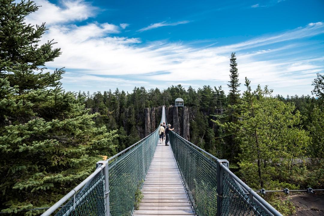 People walking on bridge between pine trees from Good Free Photos on Unsplash Đình chỉ lưu hành thuốc viên nang Sagacef 200