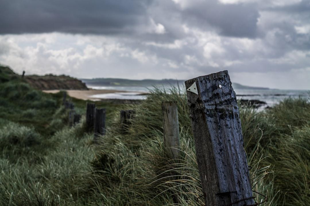 Chồng tiêm máu nhiễm HIV vào vợ