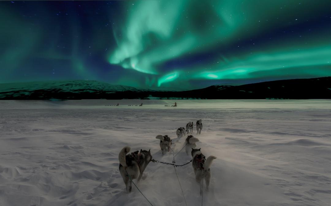 Scenery of aurora from Thomas Lipke on Unsplash Duy trì hoạt động trong trời lạnh