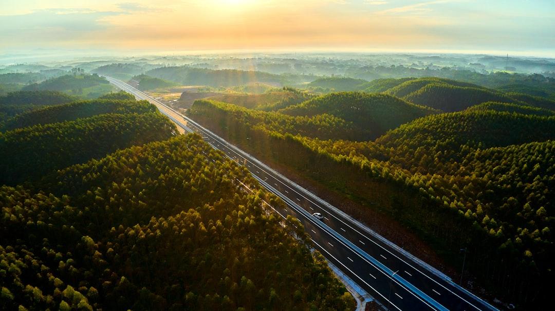 An aerial view of a highway surrounded by trees from Vivu Vietnam on Unsplash Thêm một người tử vong do cúm A/H1N1