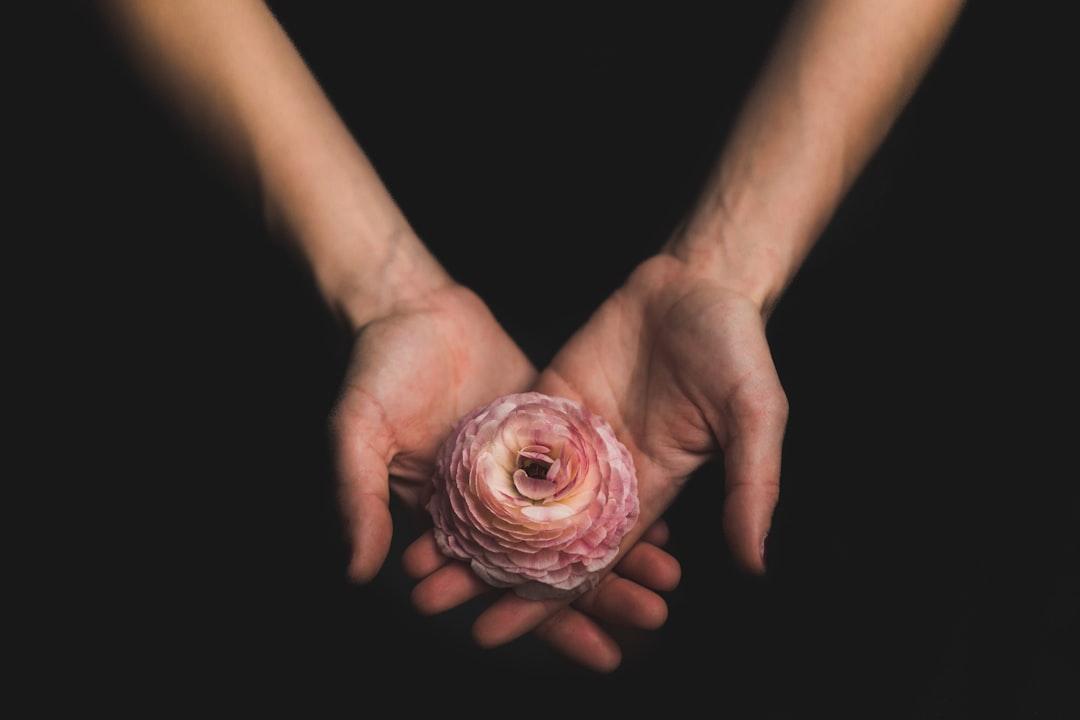 person holding pink flower Tay - Đứt tay chân