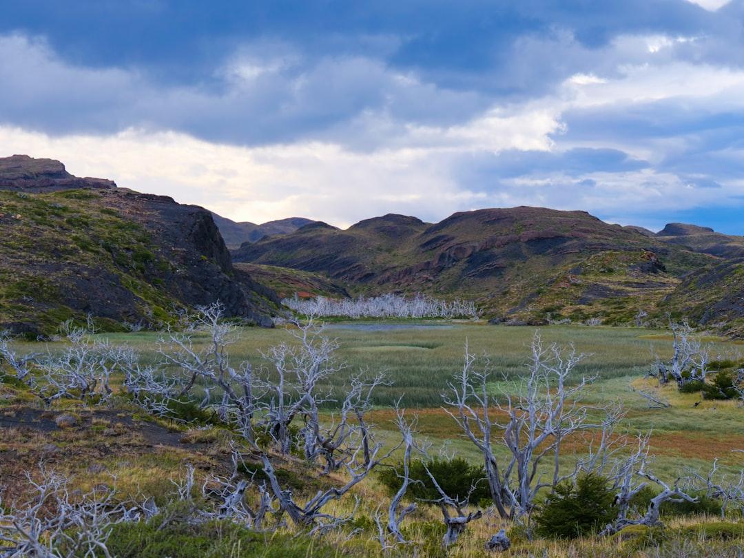 A grassy field with mountains in the background from Florian Delée on Unsplash