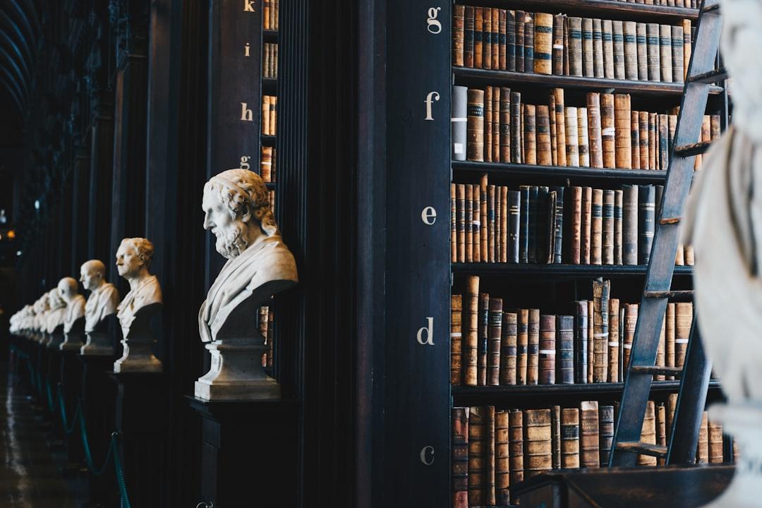 Book lot on black wooden shelf from Giammarco Boscaro on Unsplash Giải pháp làm to 'hai trái đào tiên'