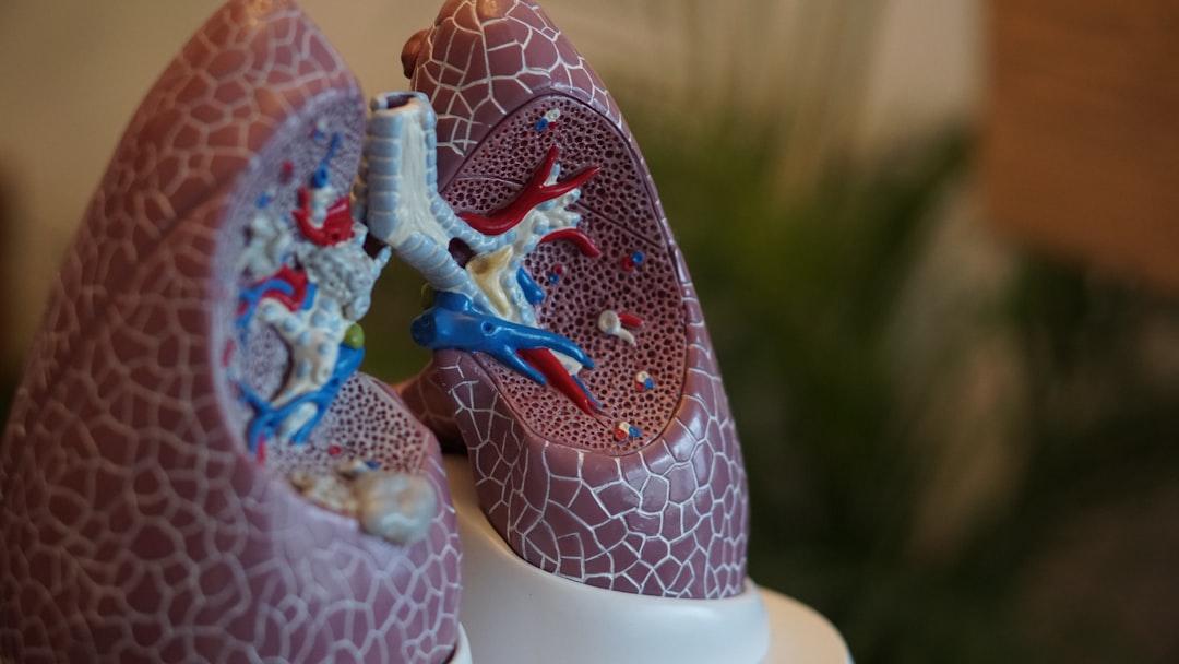 Selective focus photography of anatomy lungs from Robina Weermeijer on Unsplash DỊ TẬT BẨM SINH HÀM MẶT