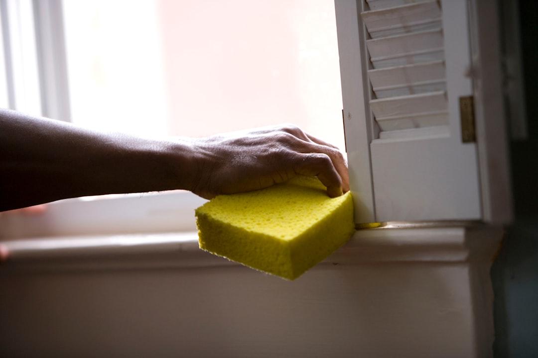 Person holding yellow sponge on white surface from CDC on Unsplash