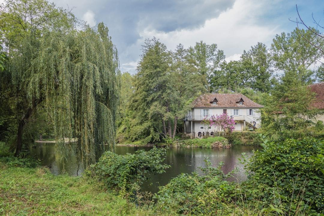 A house sitting next to a lake surrounded by trees from Free Nomad on Unsplash Chương VI. Các vấn đề khi cho trẻ ăn